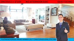 Euro-Asia Park (D13), Condominium #145930862
